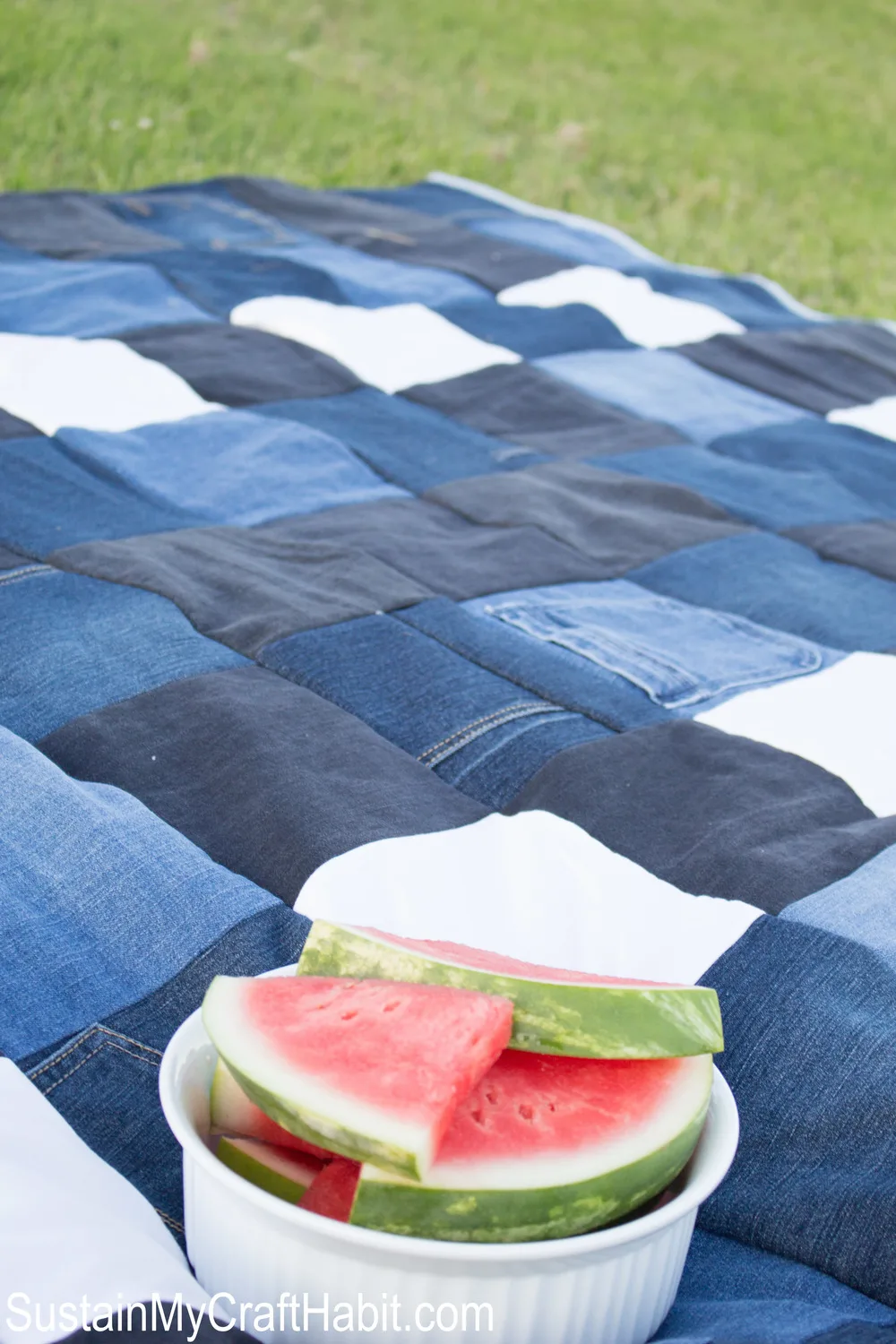 A bowl filled with watermelon resting on the new picnic blanket
