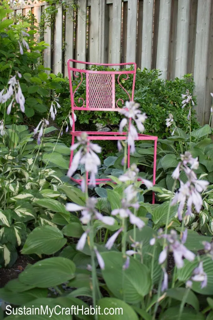 A wrought iron chair painted hot pink and placed in a garden of hostas and green bushes.