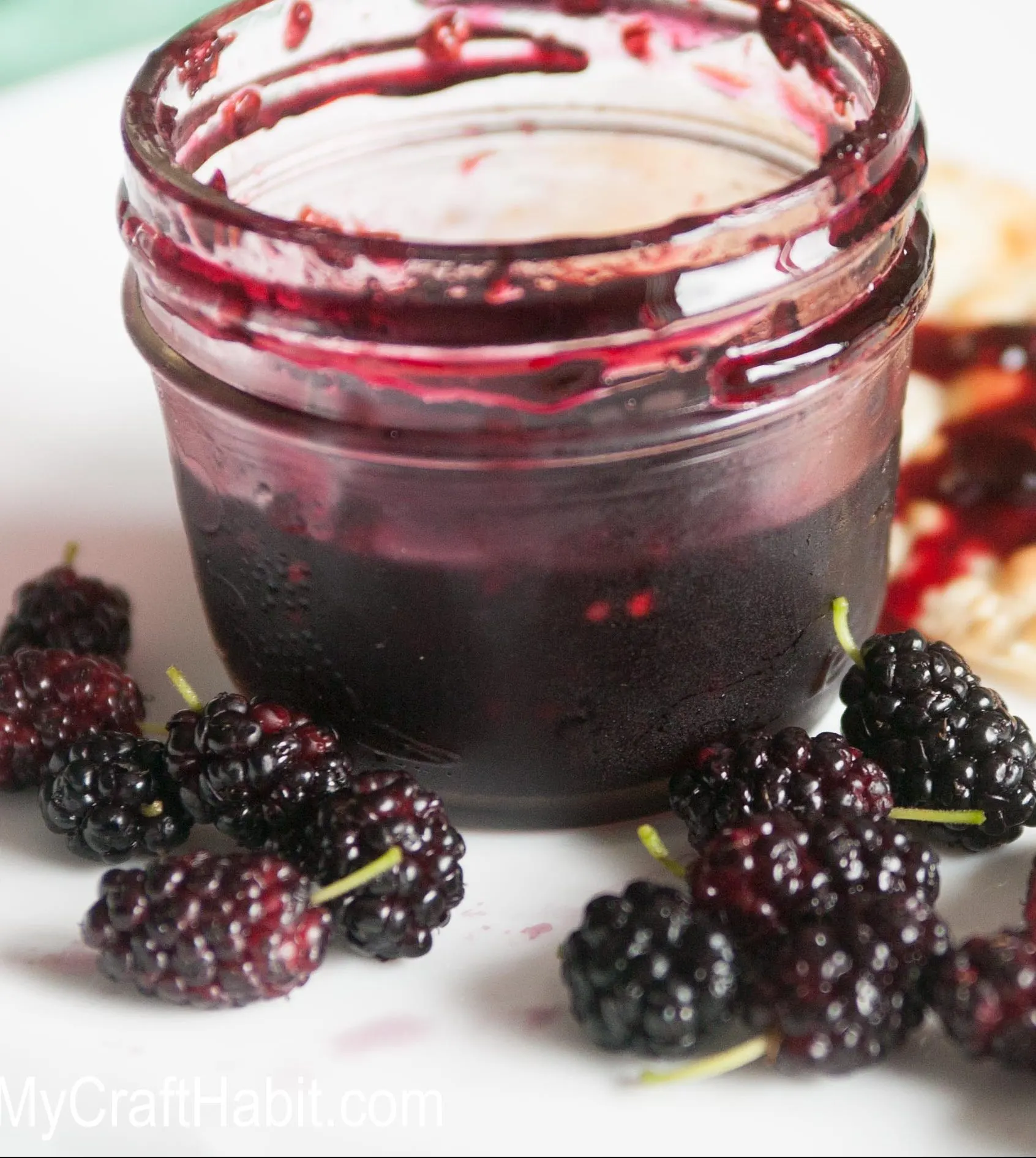 A delicious and easy to follow mulberry jam recipe. A bonus mulberry sauce recipe is included.