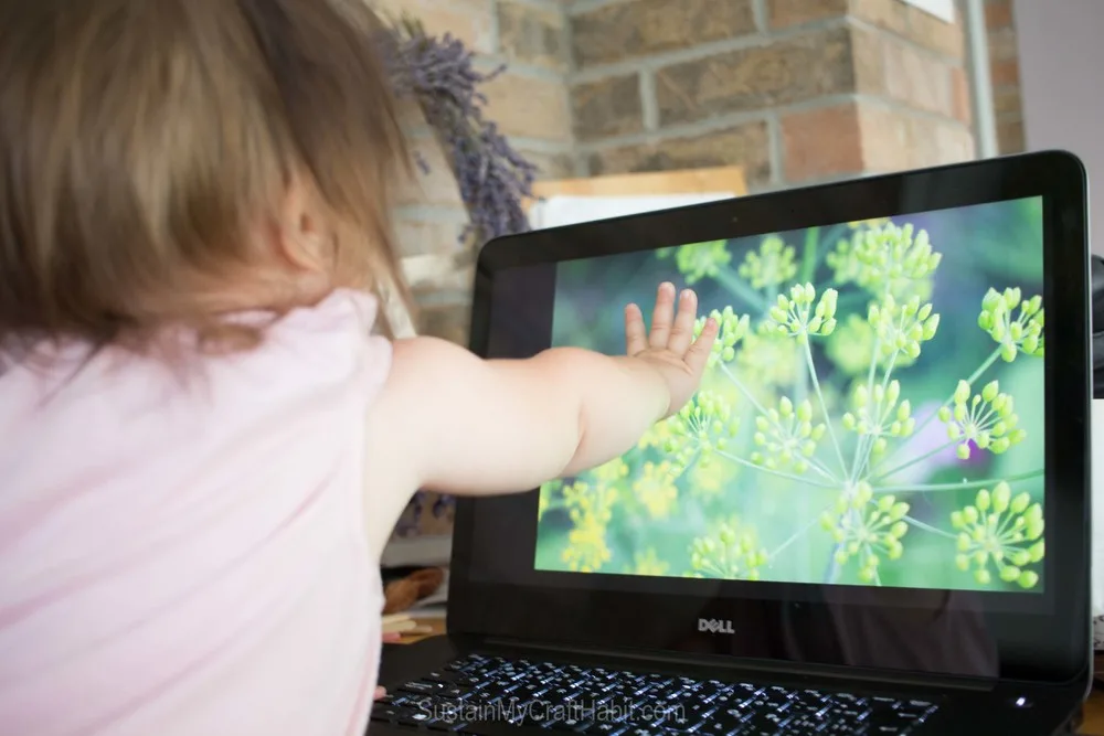 A small child touching a computer screen with an image of a flower