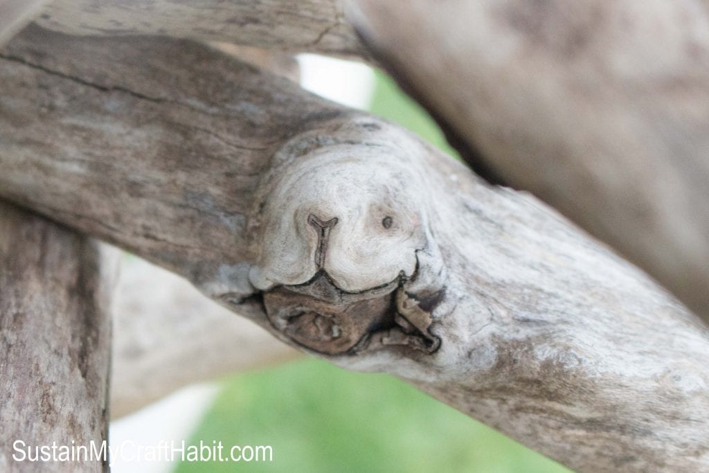 A close up image showing a piece of driftwood the looks to have the shape of a dog's face