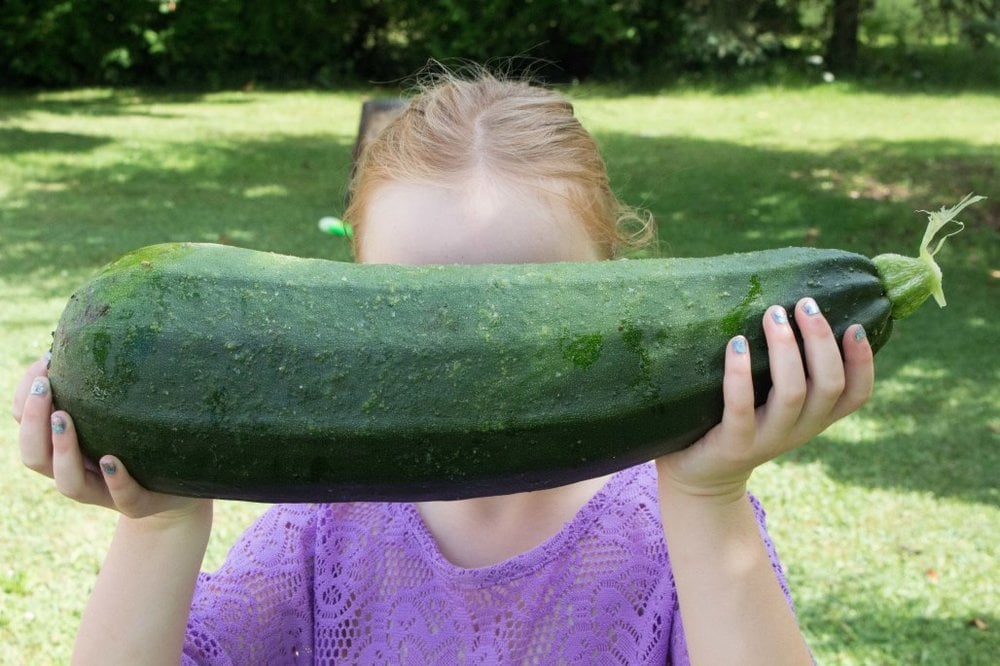 You can see how my daughter showing off the zuchinni from grandma's garden that was almost as big as her head!