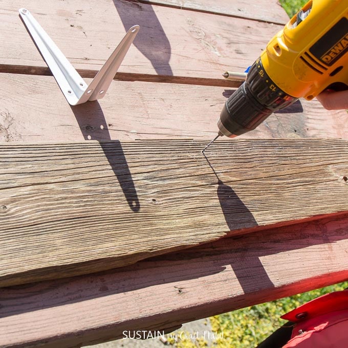 Drilling pilot holes into a DIY shelf with a live edge.