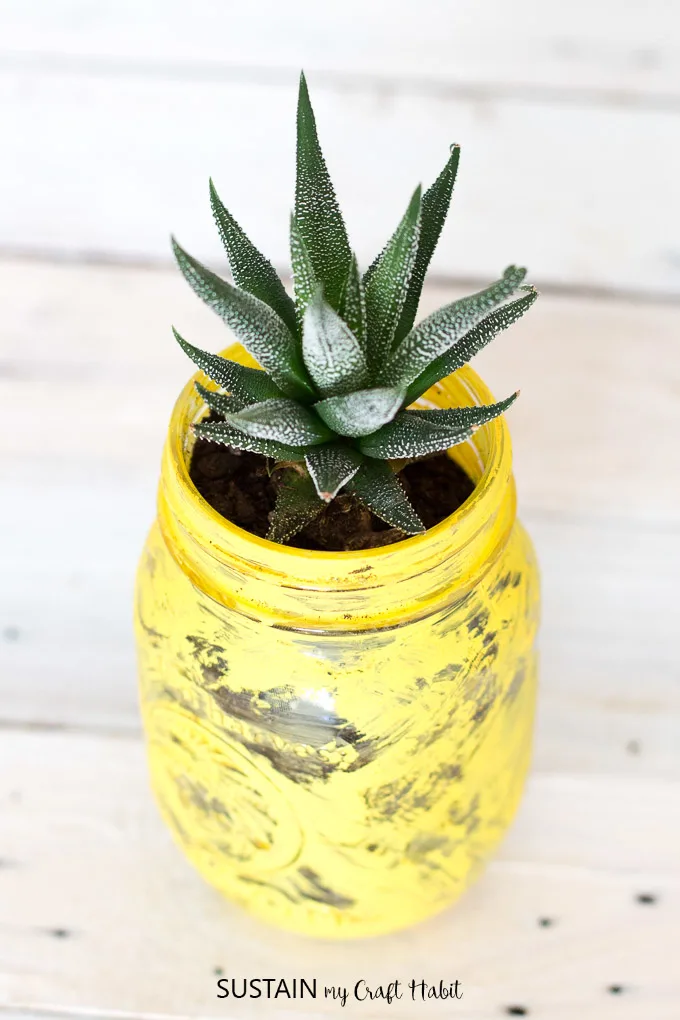Make your own pineapple inspired succulent planter with a mason jar and some paint!