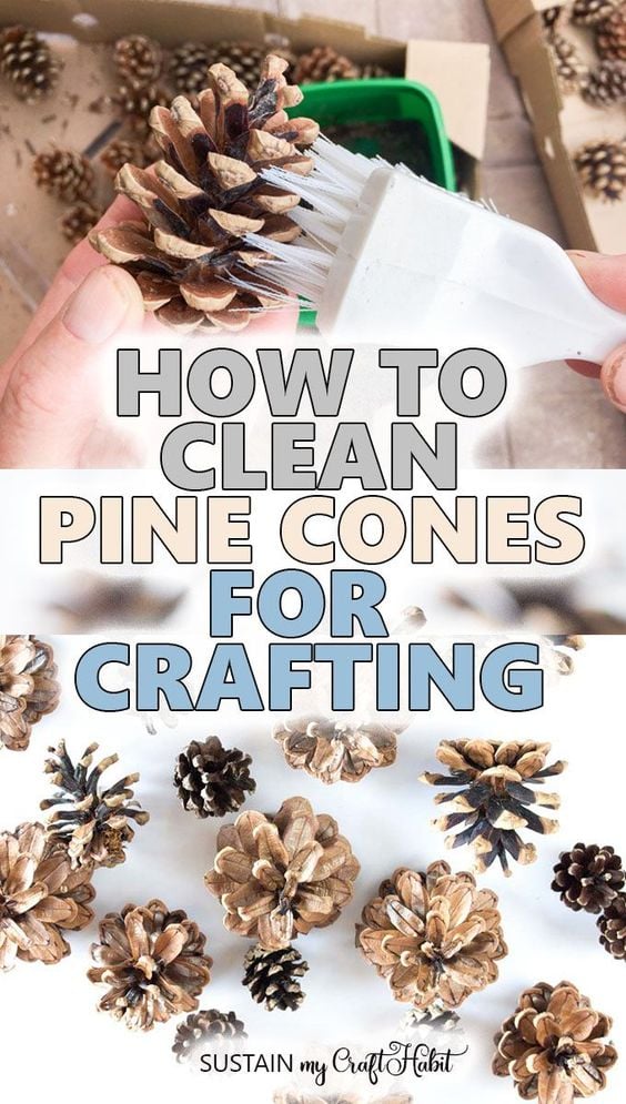 Collage of images showing how to clean pine cones for crafting.