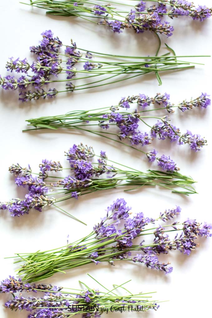 Straw Hat Craft with Dried Lavender – Sustain My Craft Habit