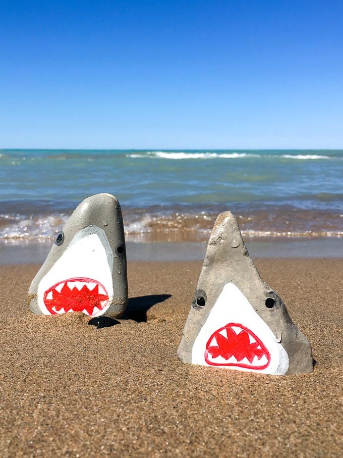 Two shark painted rocks on a sandy beach with blue water in the background.