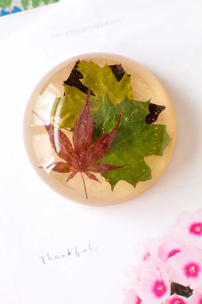 DIY resin paperweight made from different maple leaves. Unique office decor or gift idea for bosses and co-workers.