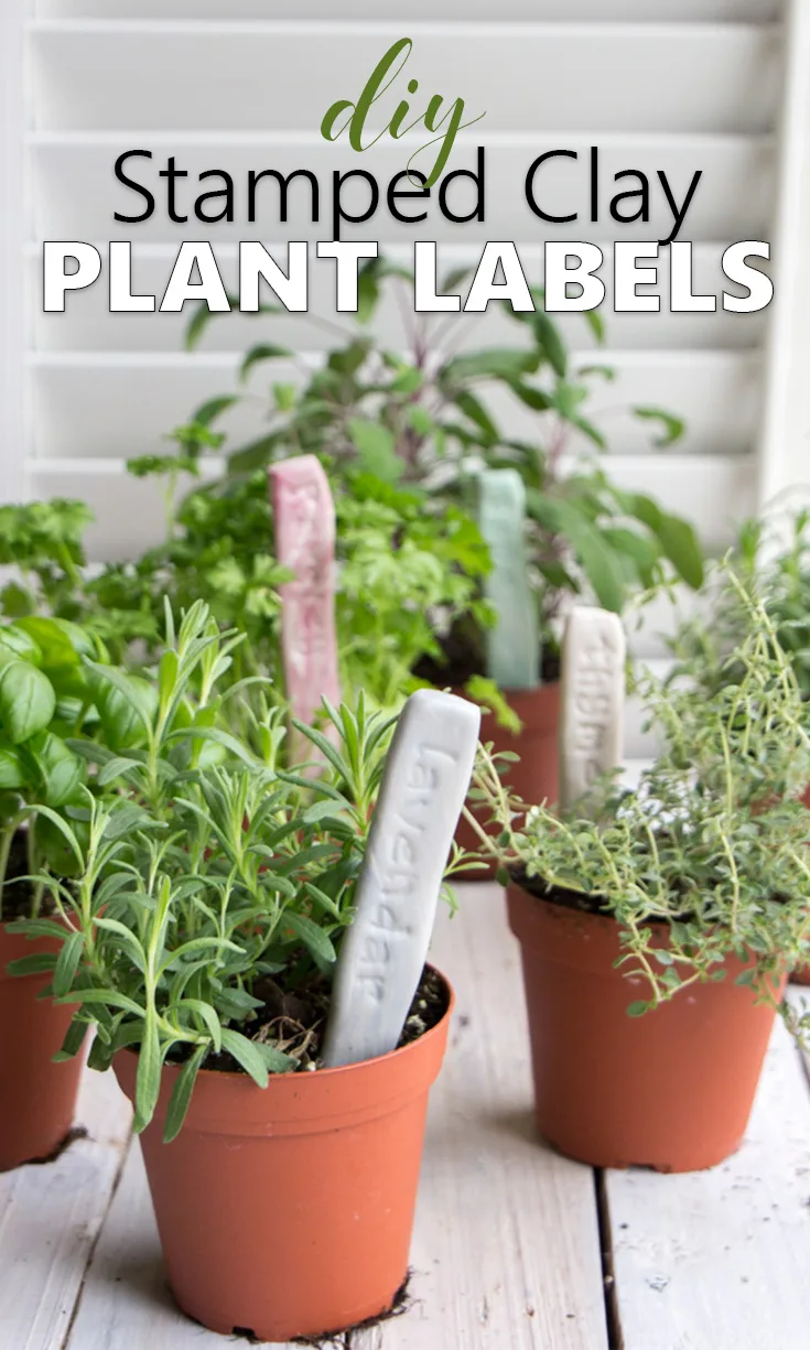 Easy Terracotta Clay Herb Markers - DIY Beautify - Creating Beauty