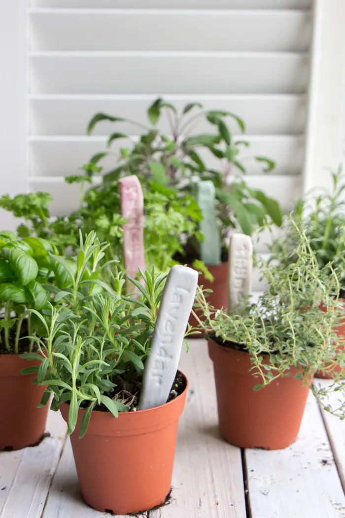 Herb and Garden Markers