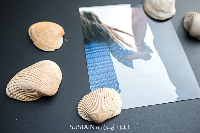 Coastal Living Seashell Magnet #1