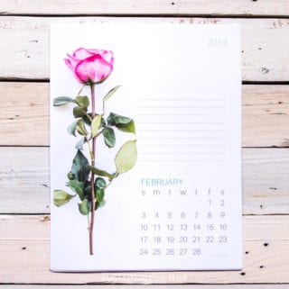 Free printable calendar featuring single-stem rose for February