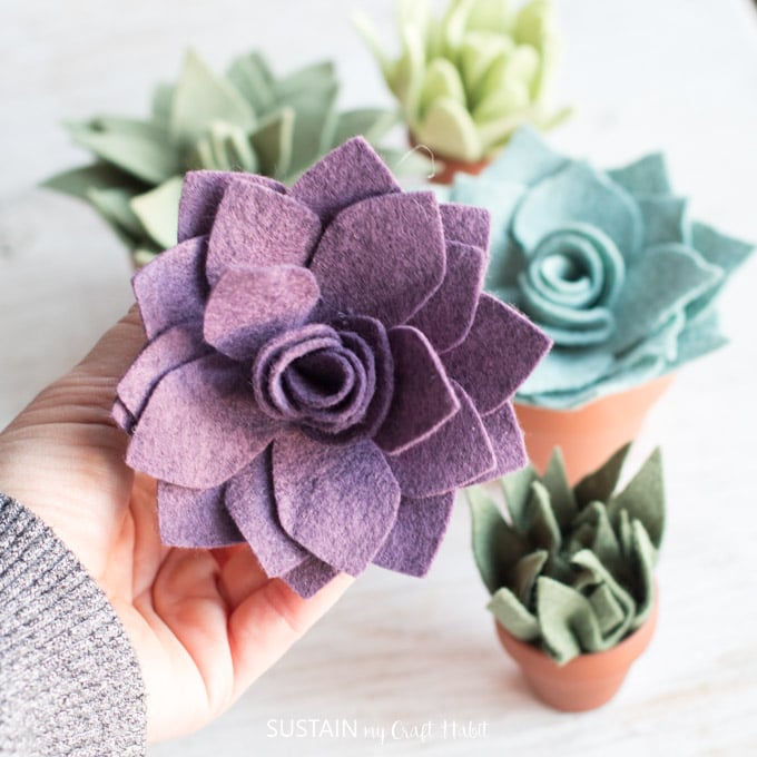 Top view of purple Mother of Pear felt succulent