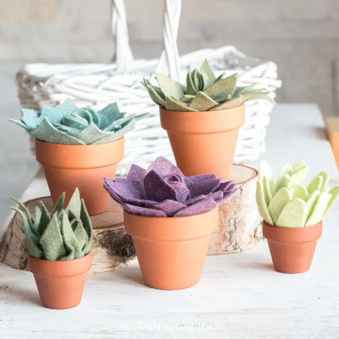 Multi-colored felt succulents in miniature terracotta clay pots