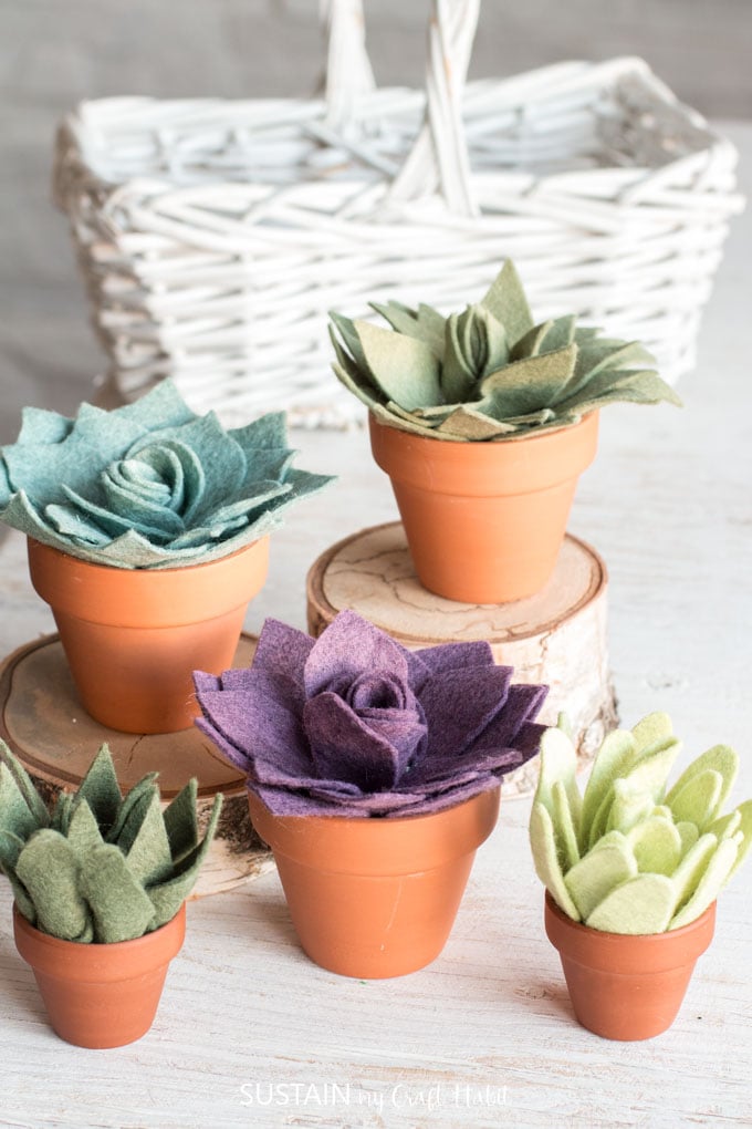 Green, blue and purple felt succulents in small terra cotta pots on a rustic white surface with a white wicker basket in the background