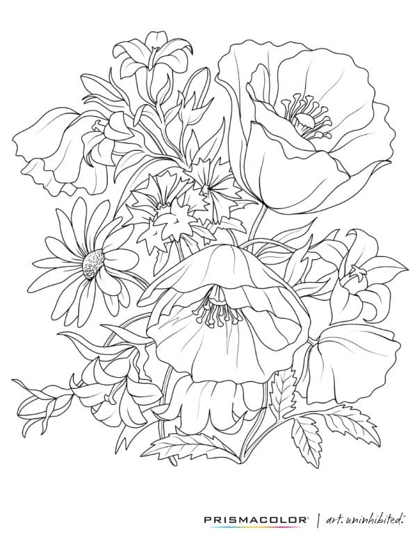 Nature colouring book for adult