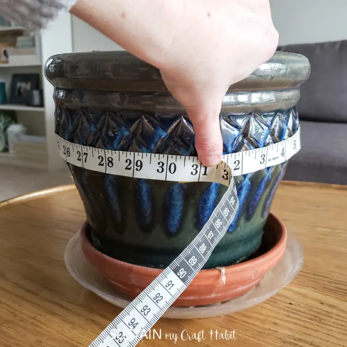 measuring the potted planter