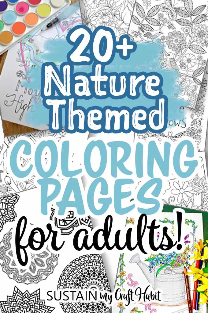 nature coloring page