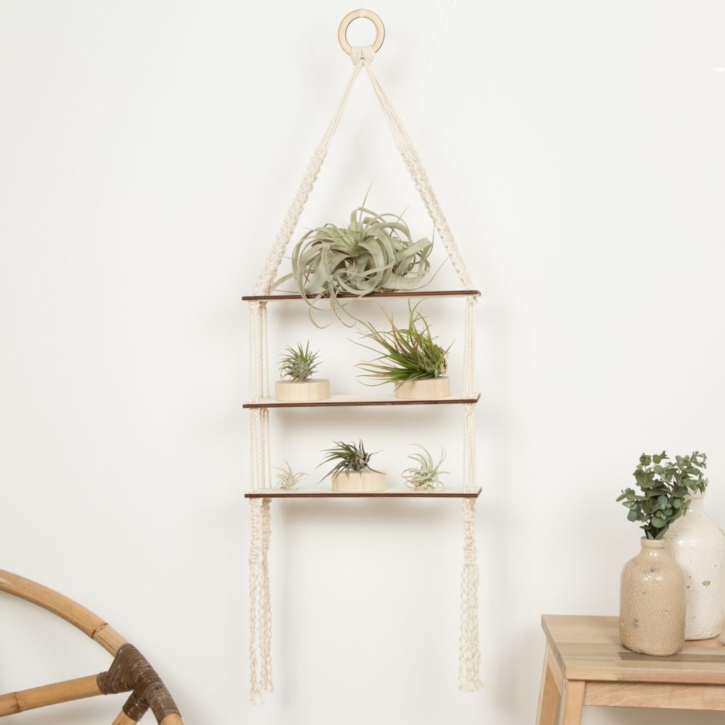 Completed 3 tier shelf styled with green air plants.