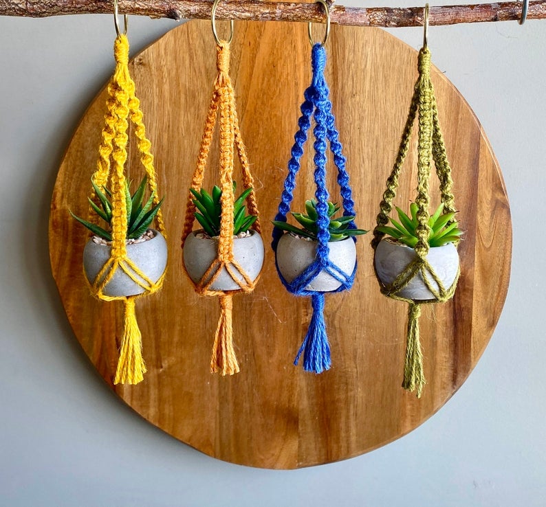 Four colorful miniature macrame plant hangers filled with potted succulents, hanging from a branch against a wood background.