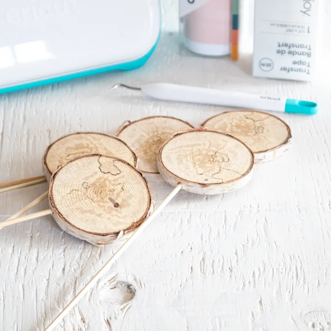 Wooden skewers added to the wood slices.