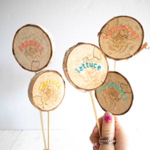 a set of 5 DIY garden markers using wood slices