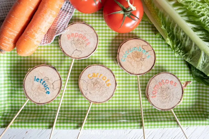 Overhead view of the finished wood slice garden markers. They're placed on a green checkered table cloth and beside carrots, tomatoes and lettuce. 