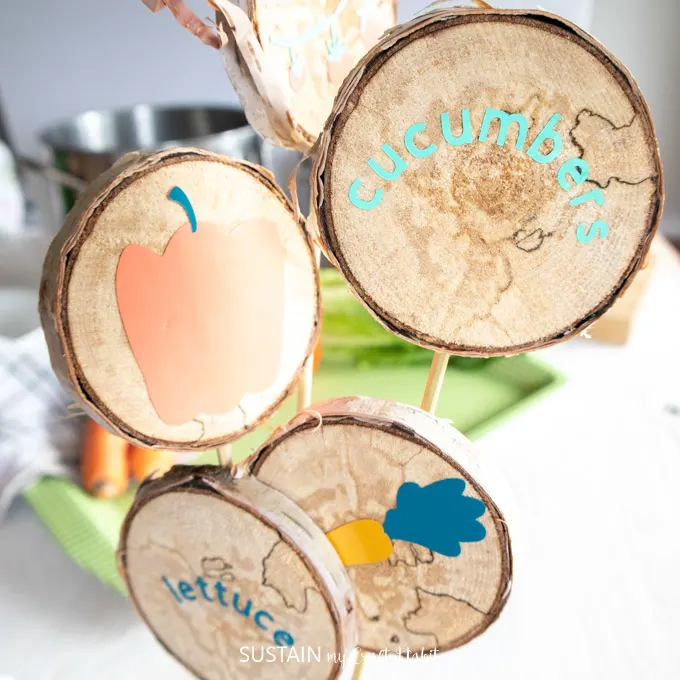 DIY Wooden Plant Markers with Cricut Joy - Lemon Thistle