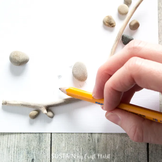 Using a pencil to faintly draw bird beaks and bird feet above the twig.