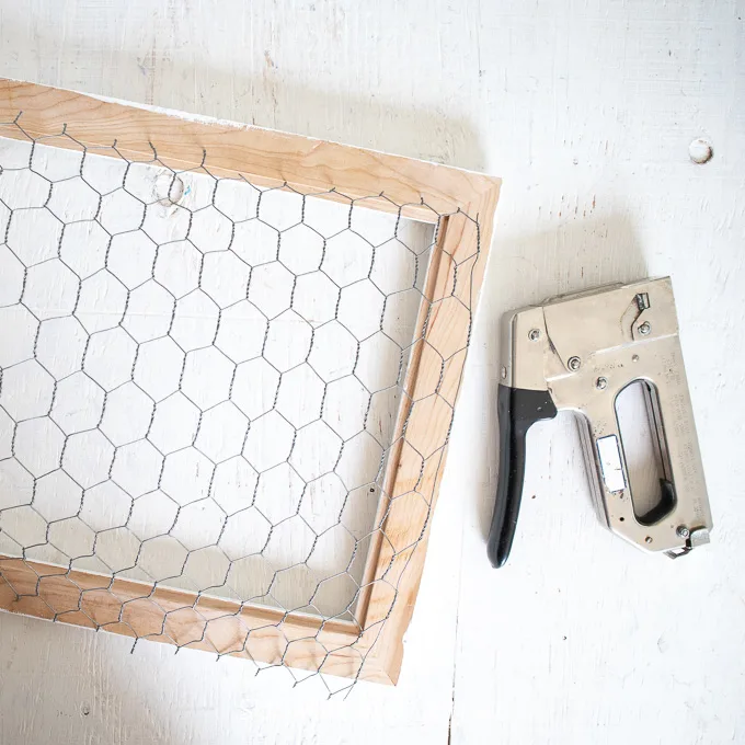 Cut chicken wire sized for the back of the picture frame.