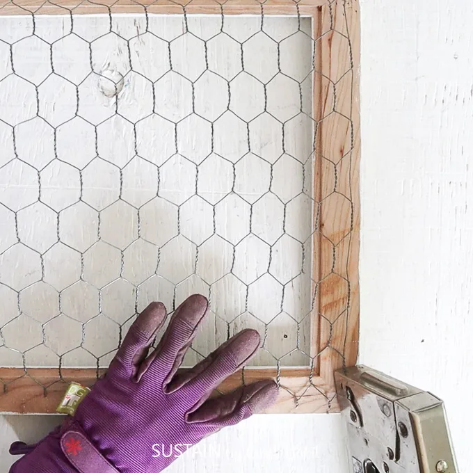 Stapling chicken wire onto the back of the picture frame.