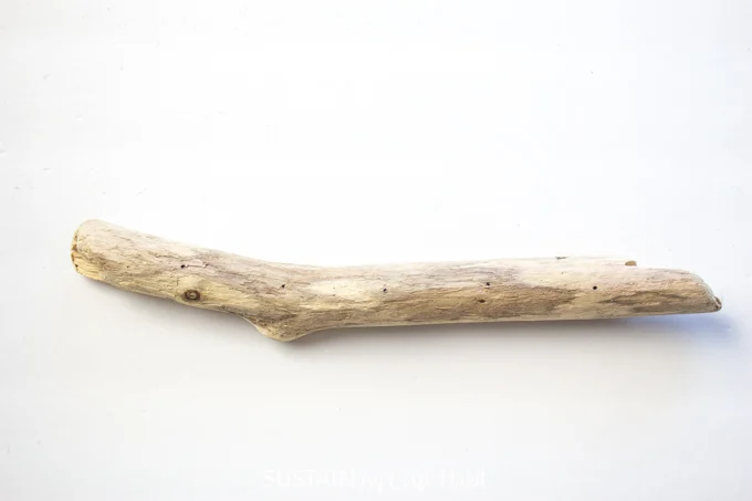 A long piece of driftwood on a white surface.