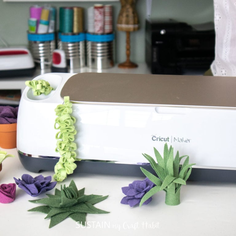 Becoming Crafty Entrepreneurs: Our Journey with Cricut