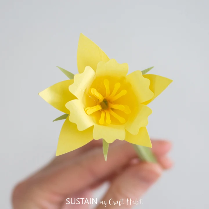 Glued daffodil paper flower onto the paper stem.