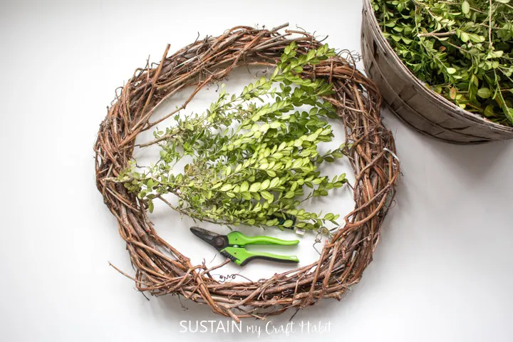 Materials needed to make a boxwood wreath including boxwood leaves, gardening shears, floral wire and a grapevine wreath.