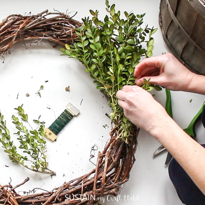 Securing bunches of boxwood against the grapevine wreath.