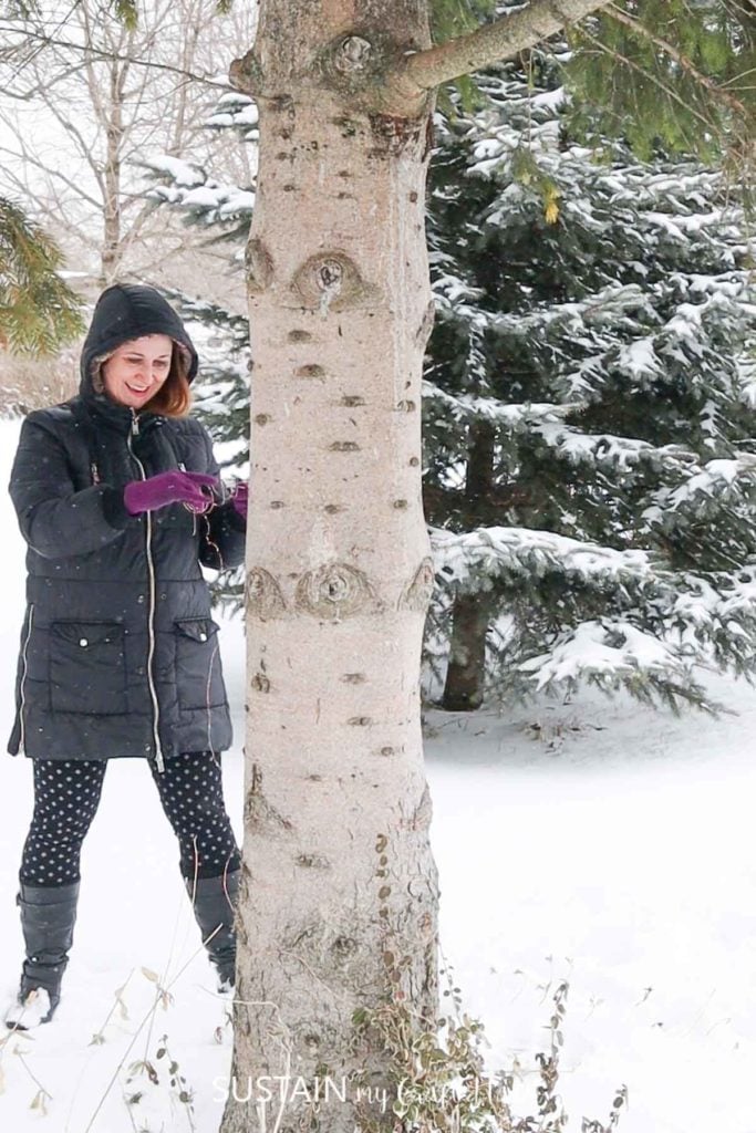 woman wrapping LED string lights around tree