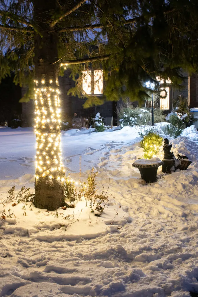 LED string lights lit up around a tree in front of a house at night