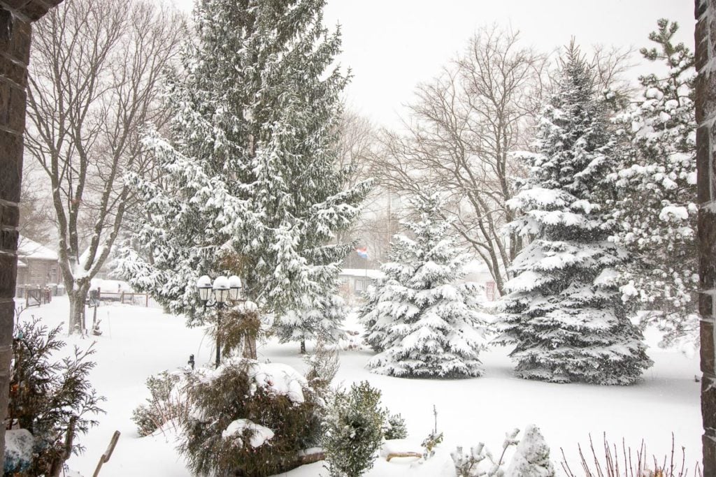 a snow covered, dreary Winter day in South Western Ontario