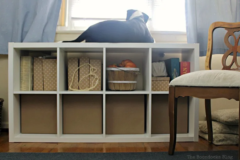 Shelf with paper boxes and a dog laying on top.