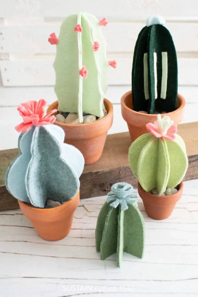 Different size felt cactus plants.