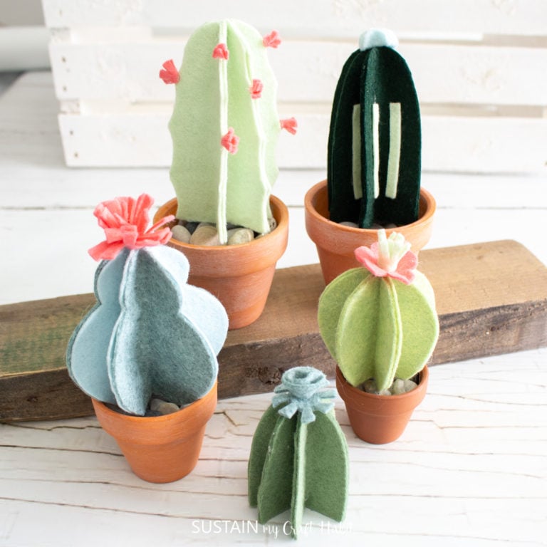Making 3D Felt Cactus Plants