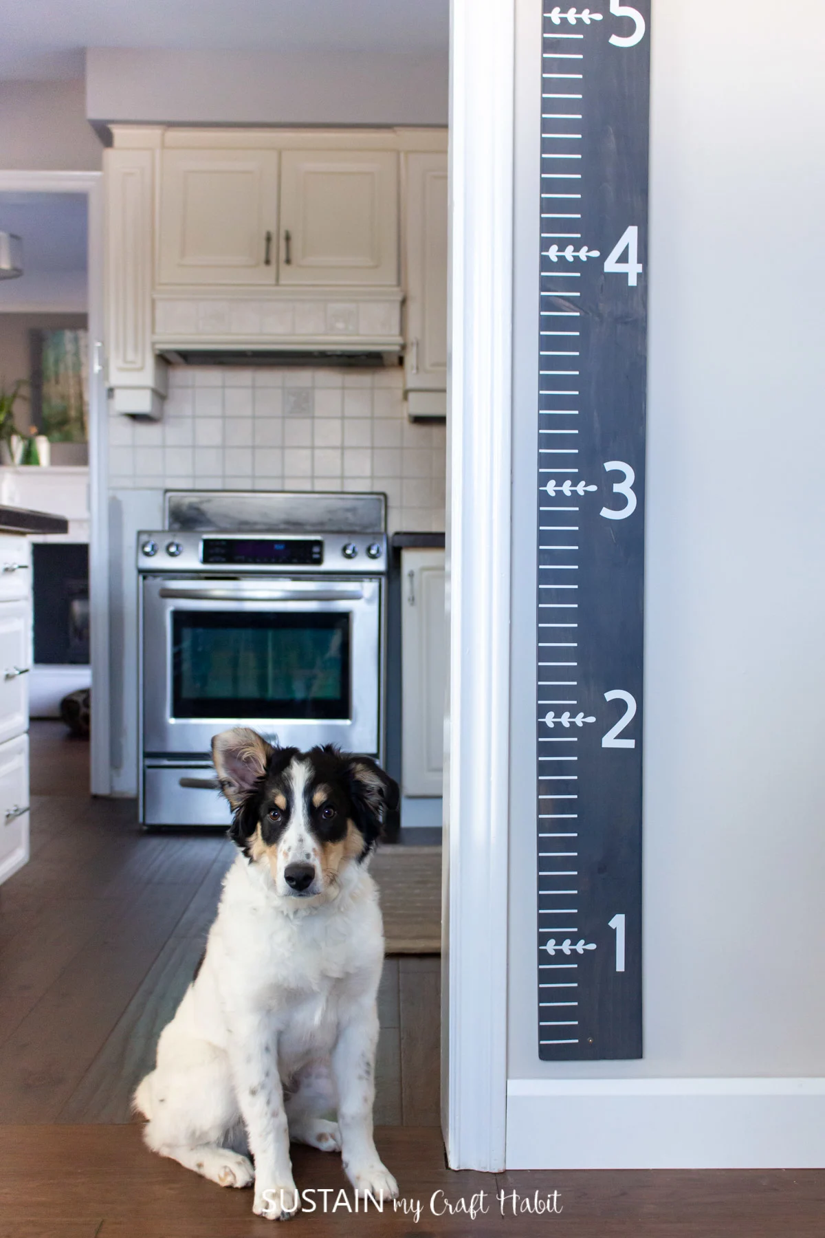 A DIY wood growth chart mounted on the wall by the kitchen. A dog is standing beside the simple woodworking project idea.