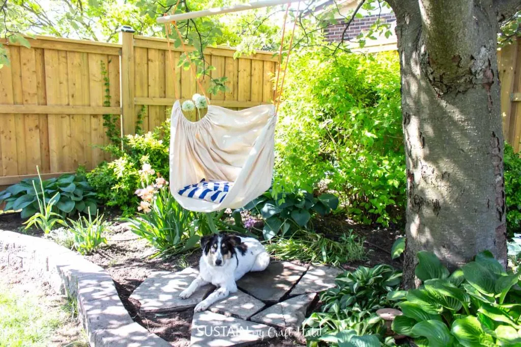 A dog laying next to the hammock chair attached to a tree.