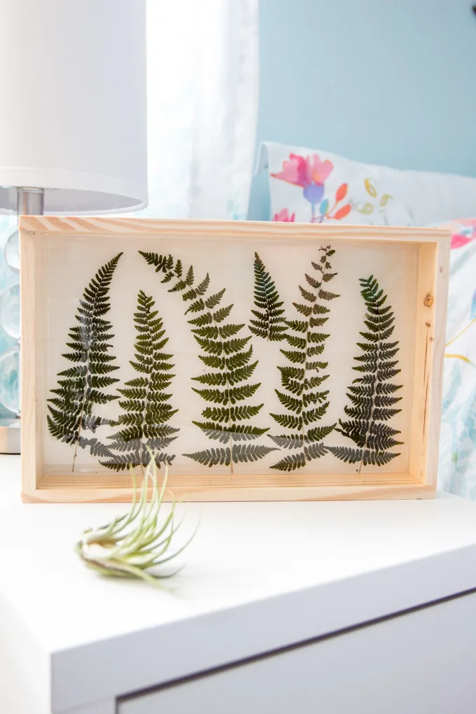 Fern art in a wood plaque sealed with Resin.