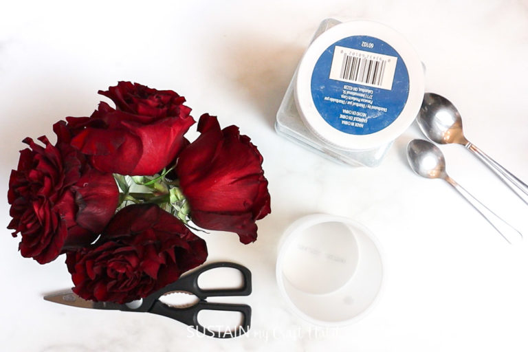 How To Dry Roses in Silica Crystals Sustain My Craft Habit