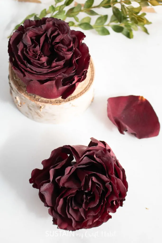 overview photo of dried roses