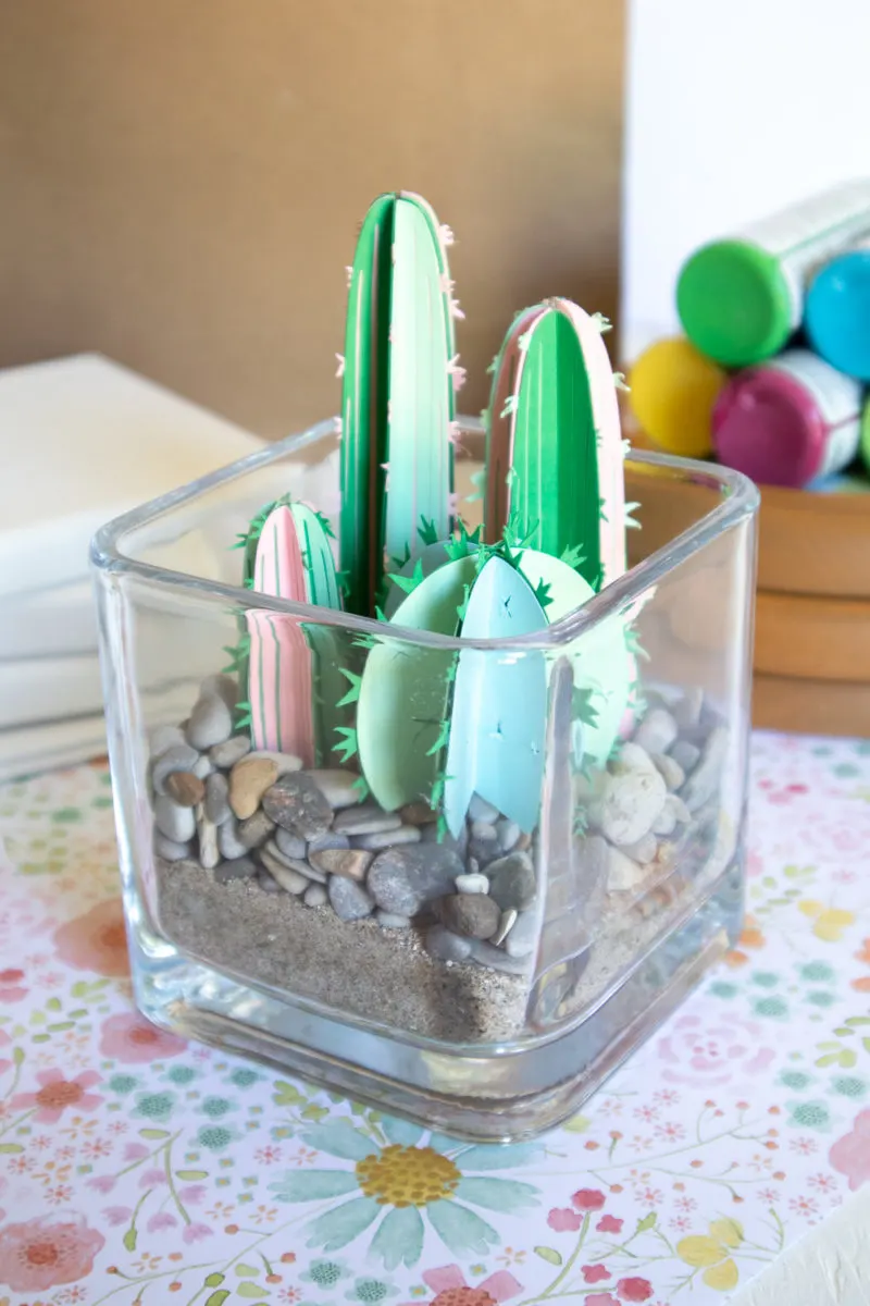 3D paper cactus terrarium.