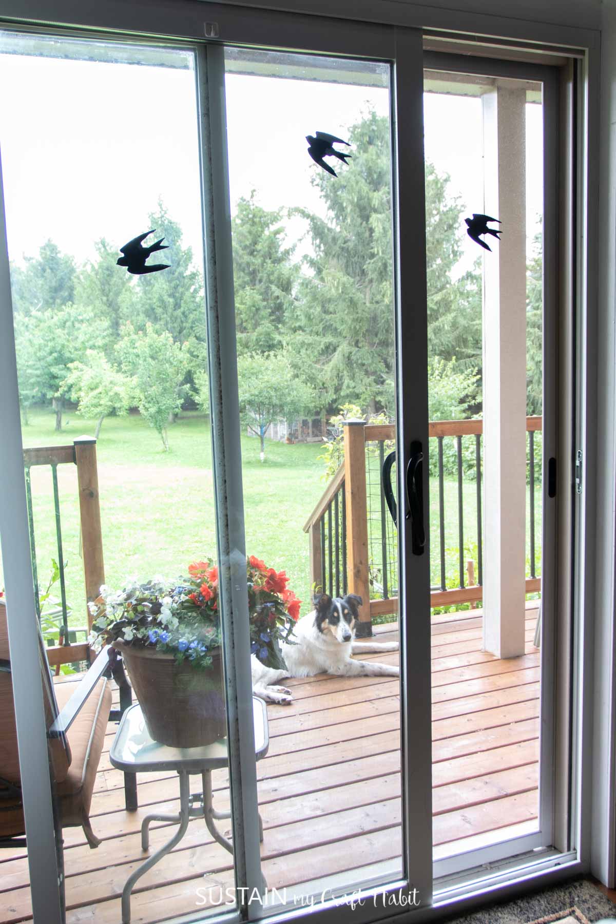 screen door whowing bird decals to keep birds from flying into windows