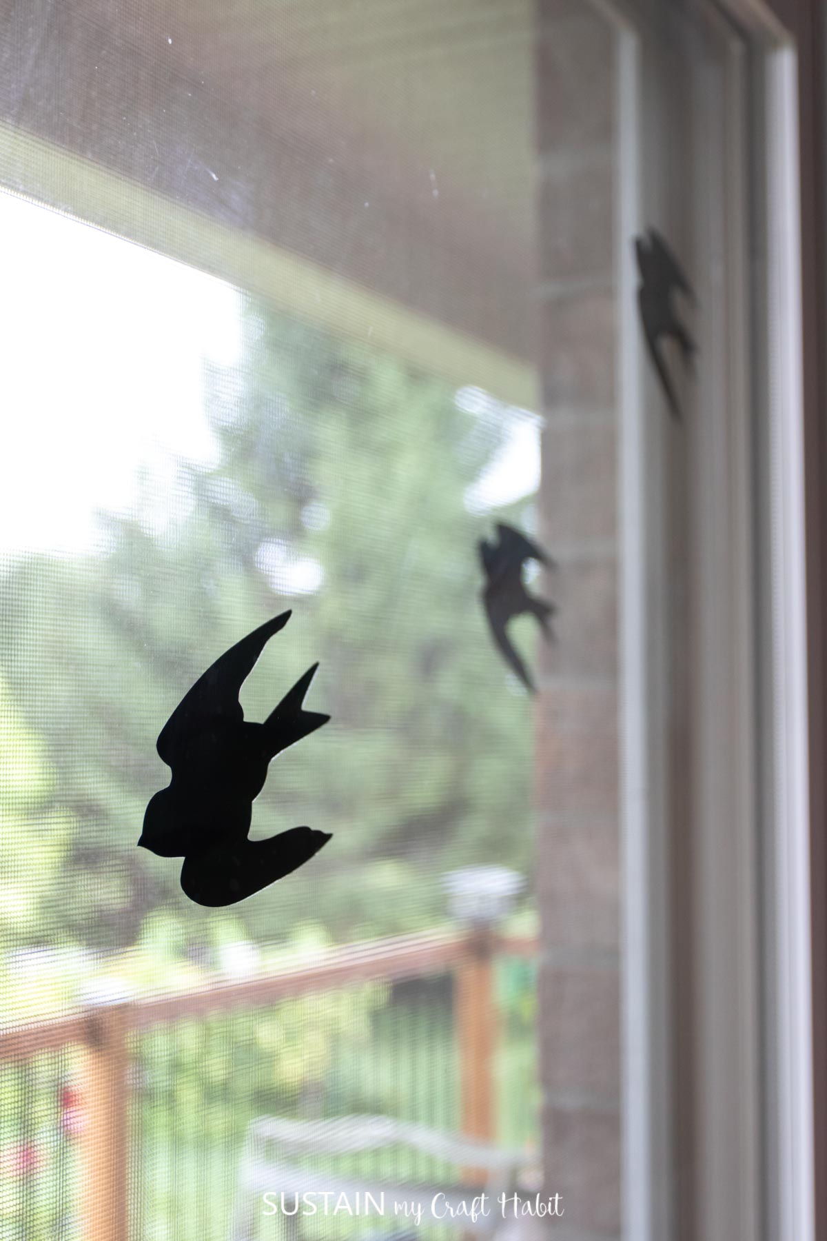 close up picture of vinyl bird decal placed on glass window